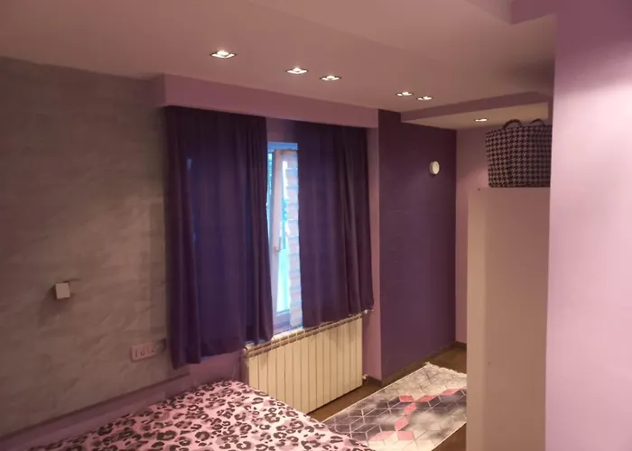 My Place To * 贝尔格莱德